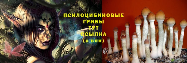 mdpv Арсеньев