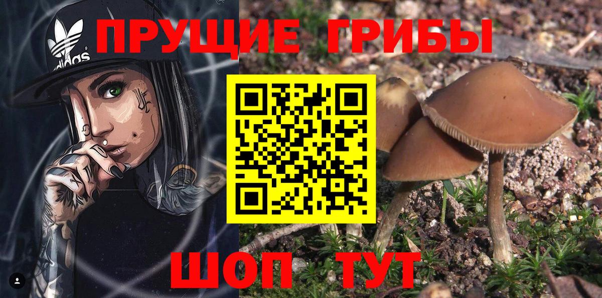 Псилоцибиновые грибы ЛСД Долгопрудный