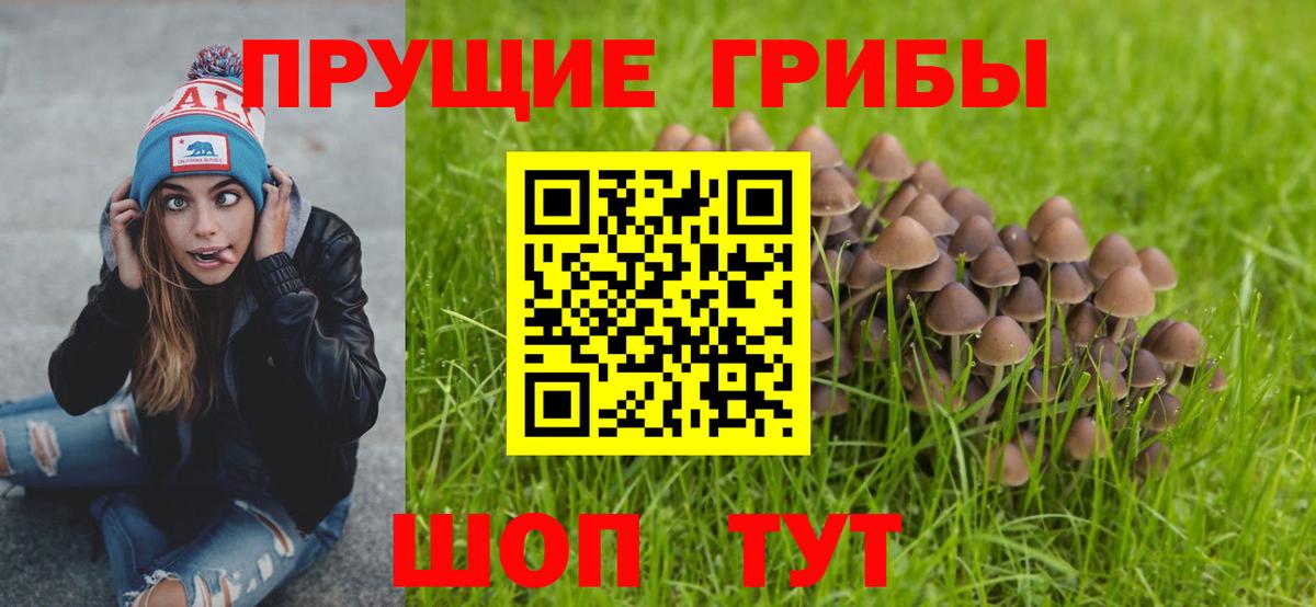 Галлюциногенные грибы Psilocybine cubensis  Галлюциногенные грибы Cubensis  Долгопрудный  как найти наркотики  Вход с VPN 